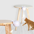 SpinChase USB Pet Teaser Ball product detail 2