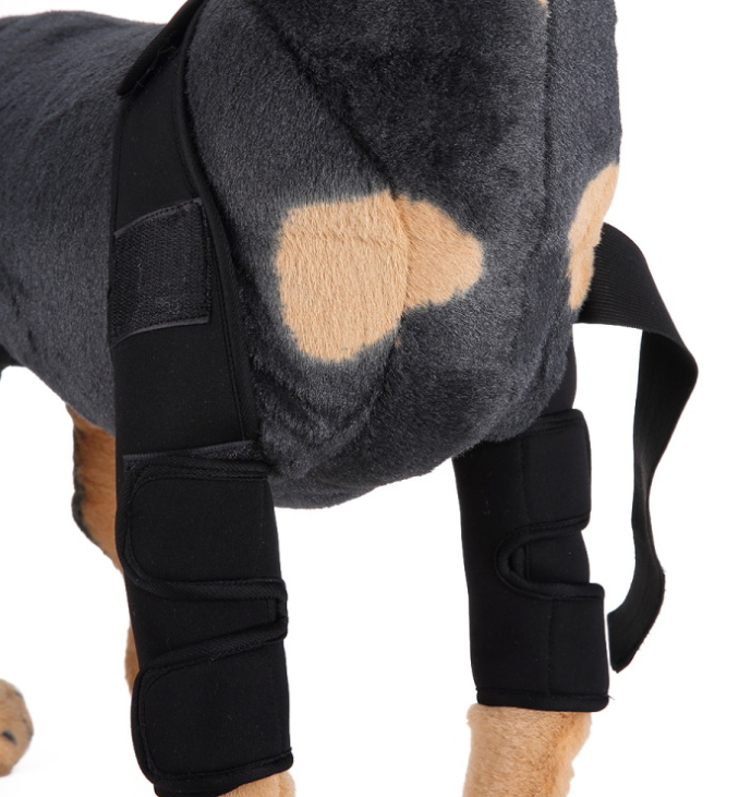 Dog Knee Brace & Leg Support