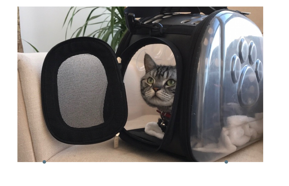 ClearView Pet Travel Backpack product detail 3