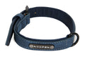 Teddy Bear Collar with Leash for Small to Medium Dogs