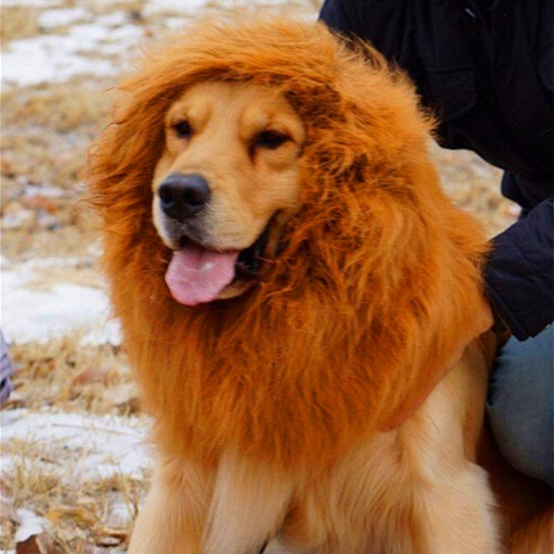LionMane Dog Costume product detail 3