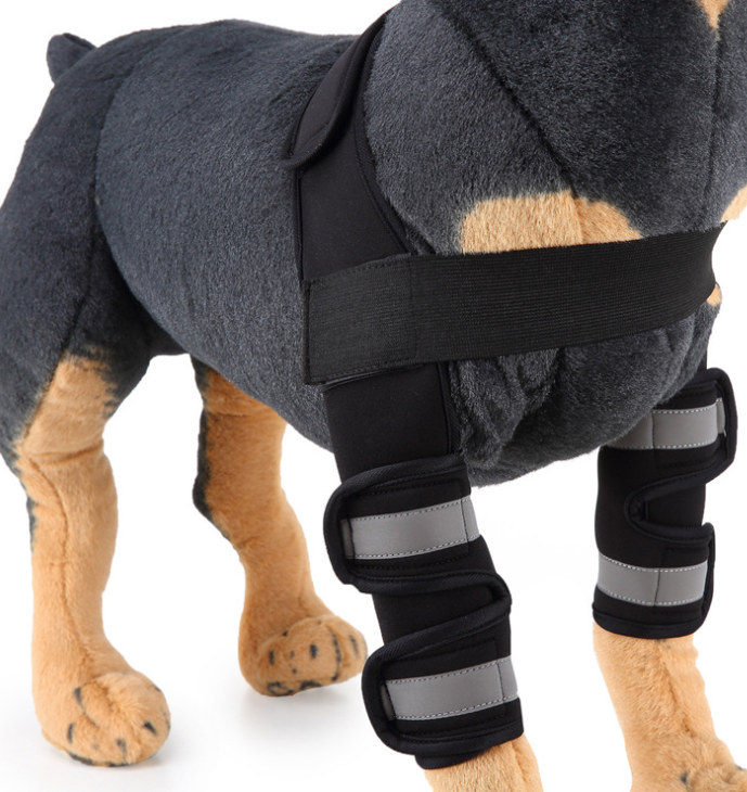 Dog Knee Brace & Leg Support