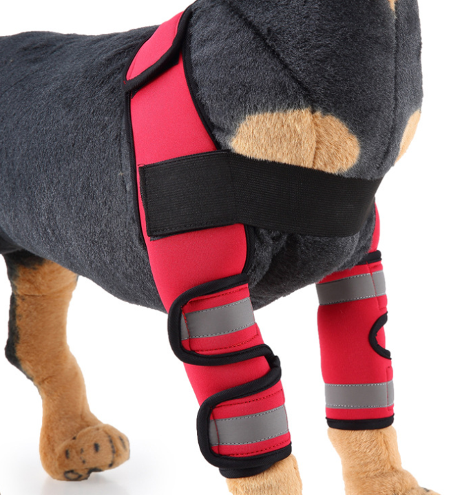 Dog Knee Brace & Leg Support