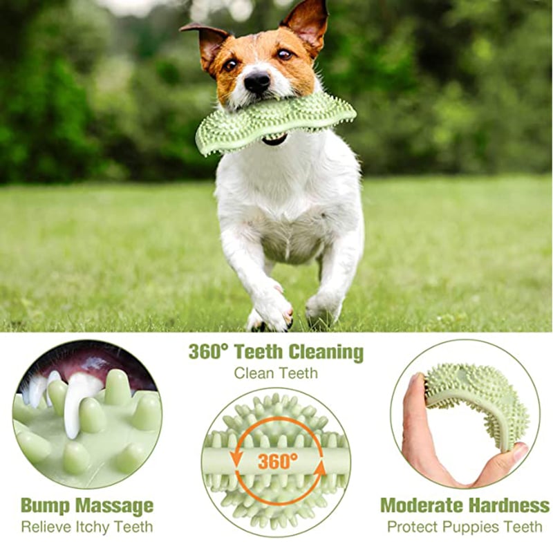 Bite-Resistant Chew Ball