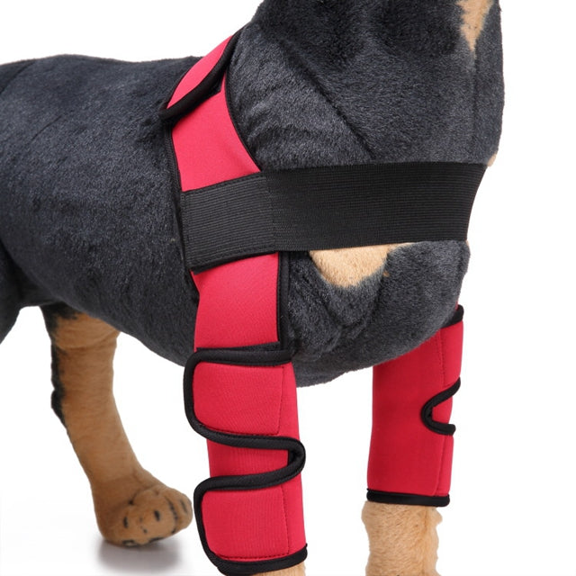 Dog Knee Brace & Leg Support