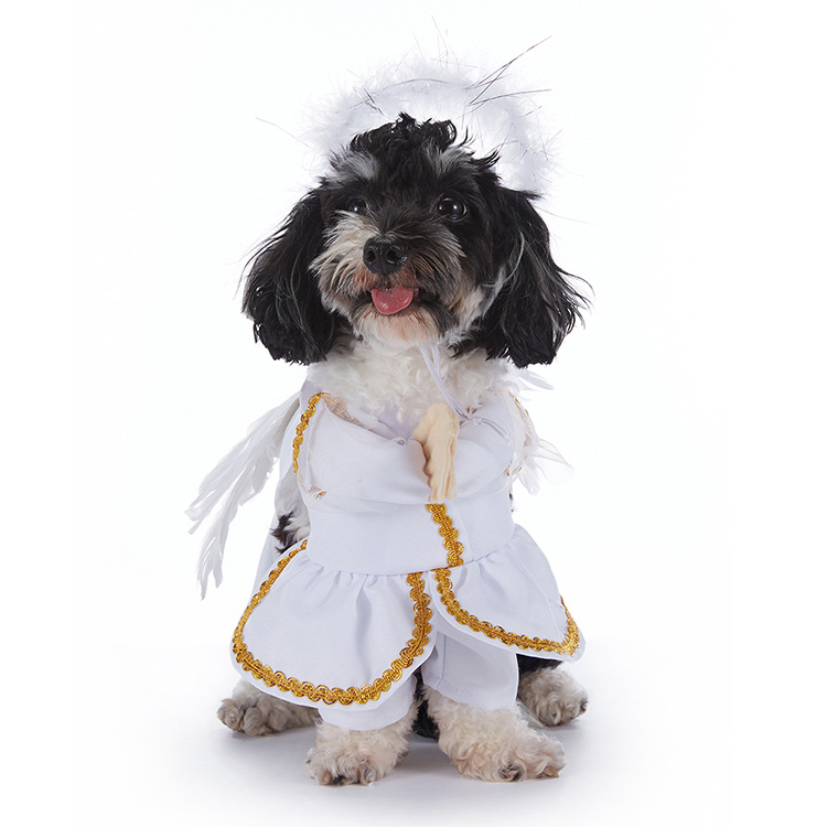 SpookyPaws Halloween Dog Costumes product detail 13