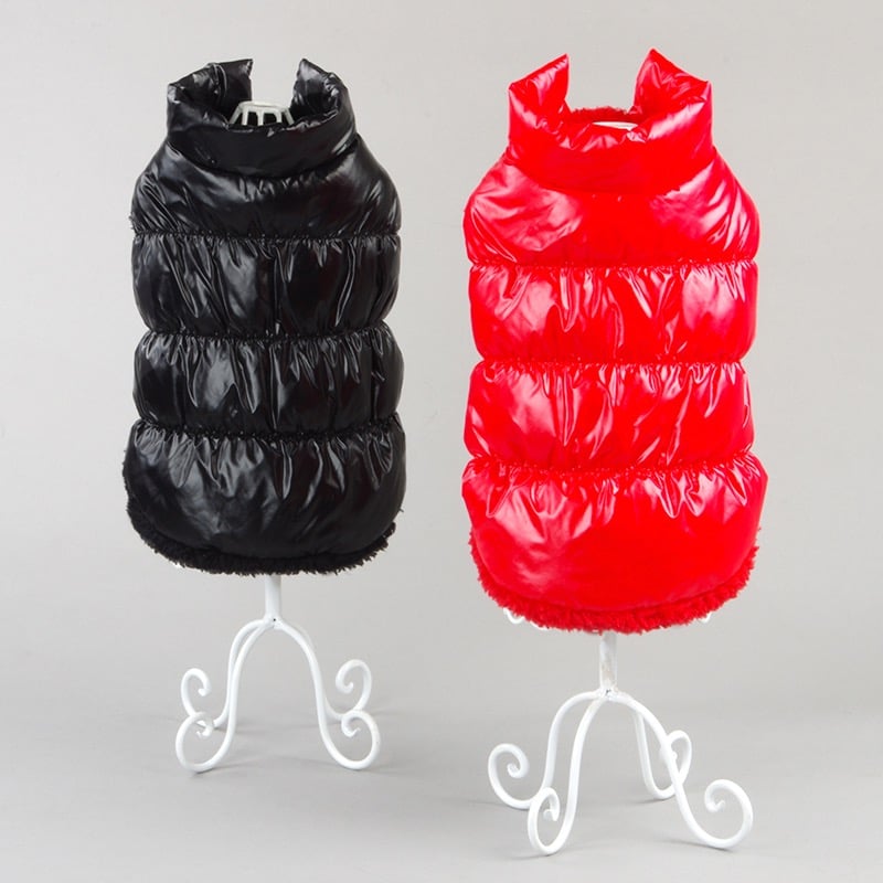 TeddyWarm Pet Waistcoat by NESTVALOR