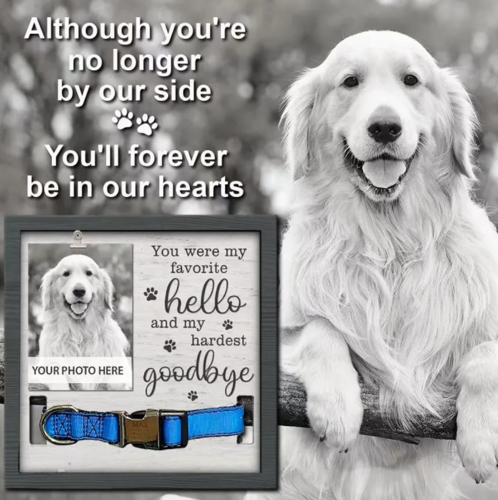 MemoryCollar Pet Memorial Frame product detail 5