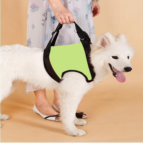 LiftAssist Senior Dog Support Sling product detail 3