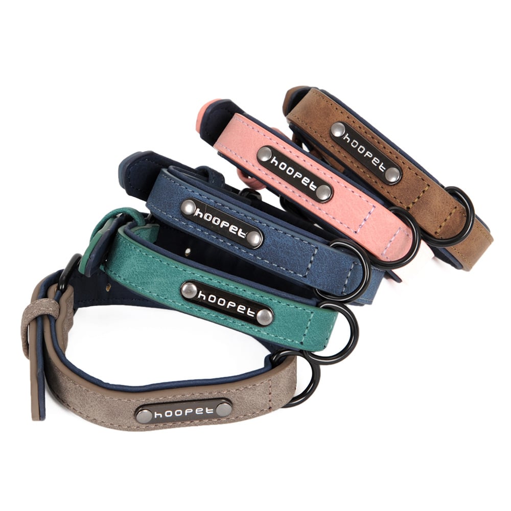 Teddy Bear Collar with Leash for Small to Medium Dogs