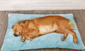QuiltCloud Plush Pet Bed product detail 2