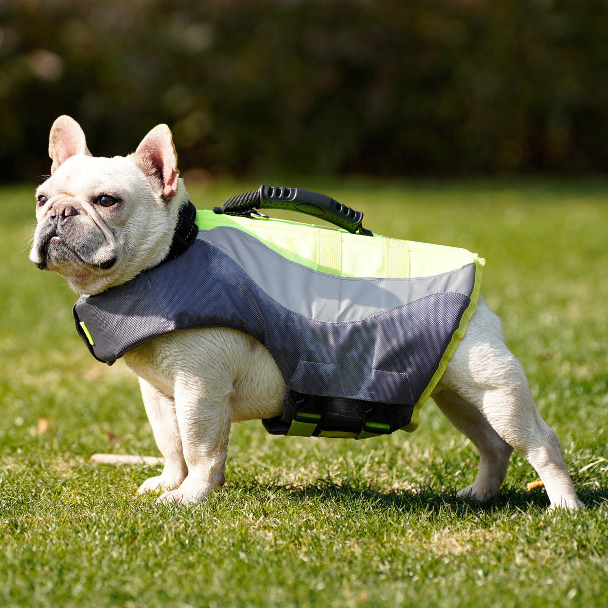 WaveGuard Reflective Dog Life Jacket by NESTVALOR