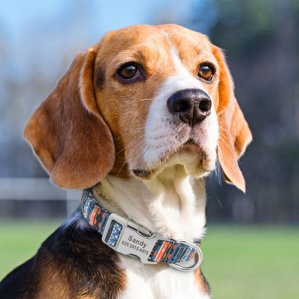 Classic Adjustable Nylon Pet Collar by NESTVALOR