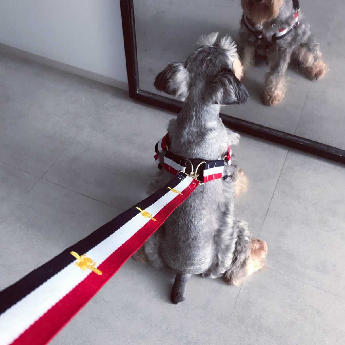 StreetWalk Harness & Leash Set product detail 3