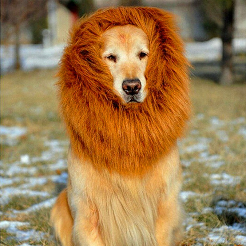 LionMane Dog Costume by NESTVALOR