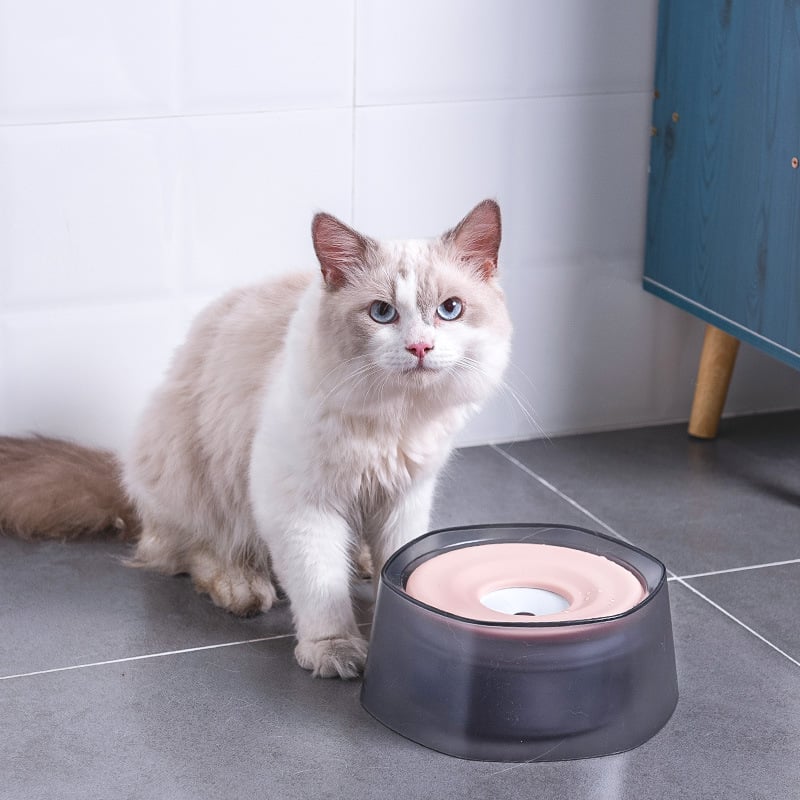 NoSplash Pet Water Bowl by NESTVALOR