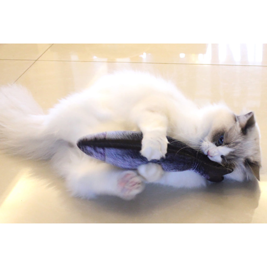 FishFlip Interactive Pet Toy product detail 15