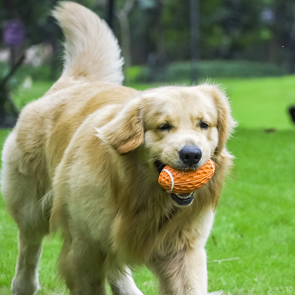 Tough Squeaky Rugby Ball