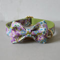 Purple Zephyr Dog Collar and Leash Set
