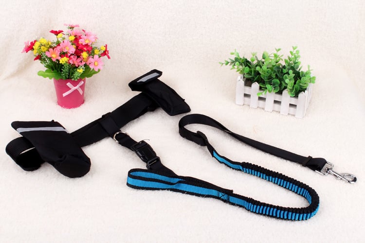 Multifunctional Nylon Stretch Dog Leash for Running