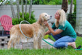 AquaRing Dog Bath Sprayer by NESTVALOR