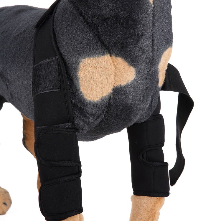 Dog Knee Brace & Leg Support