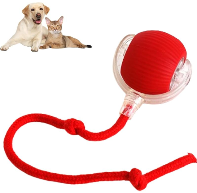 RollRush Smart Pet Ball by NESTVALOR