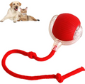 RollRush Smart Pet Ball product detail 7