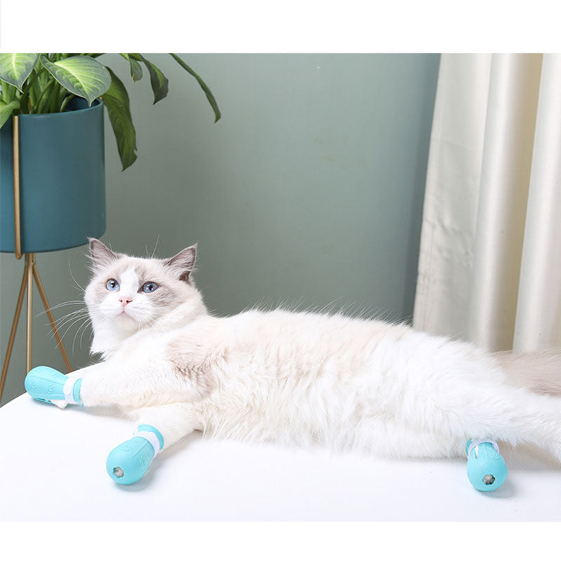 PawGuard Cat Grooming Protector by NESTVALOR