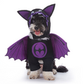 SpookyPaws Halloween Dog Costumes product detail 14