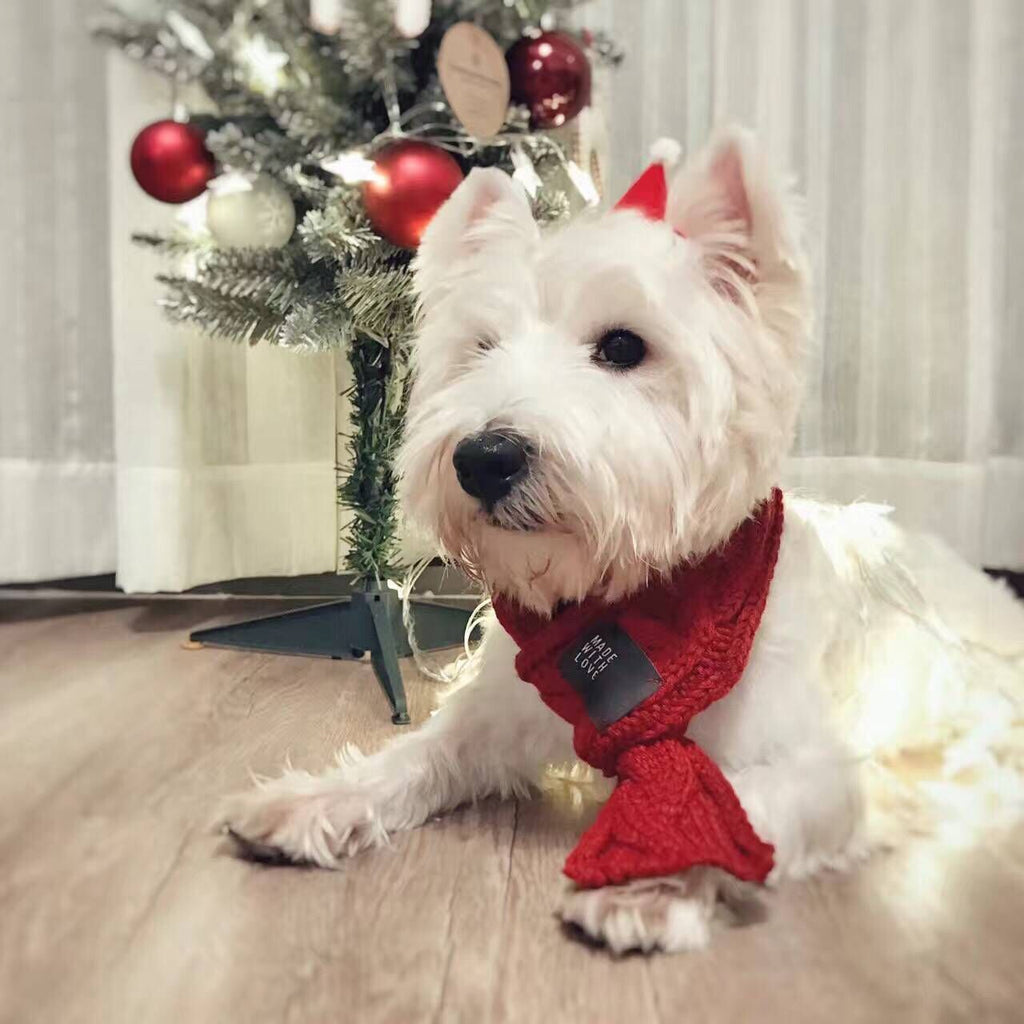 Knit Pet Scarf