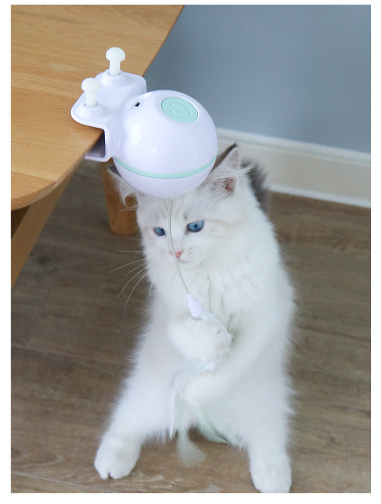 SpinChase USB Pet Teaser Ball by NESTVALOR