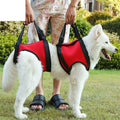 LiftAssist Senior Dog Support Sling by NESTVALOR