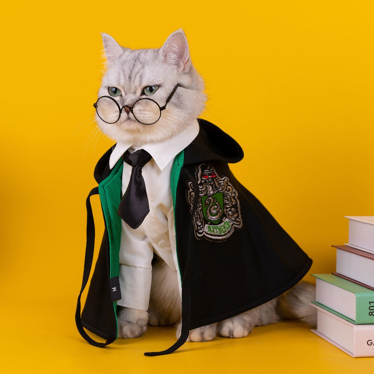 Magic Academy Pet Cape product detail 21