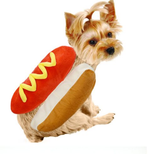 SnackAttack Pet Costume product detail 6