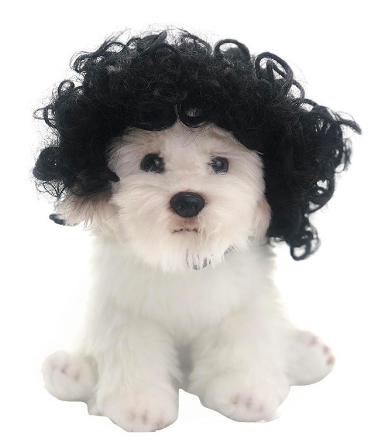 Pet Costume Wig product detail 3