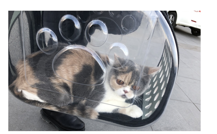 ClearView Pet Travel Backpack product detail 12