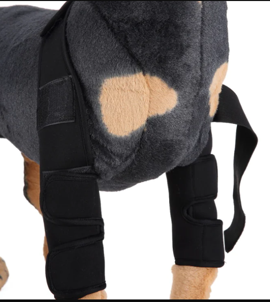 Dog Knee Brace & Leg Support