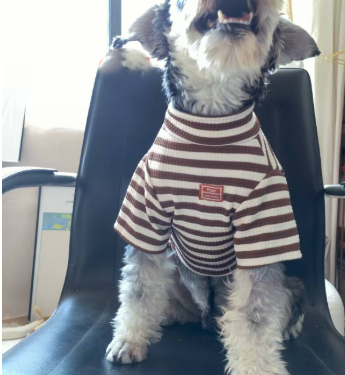 Lightweight Summer Dog Shirt