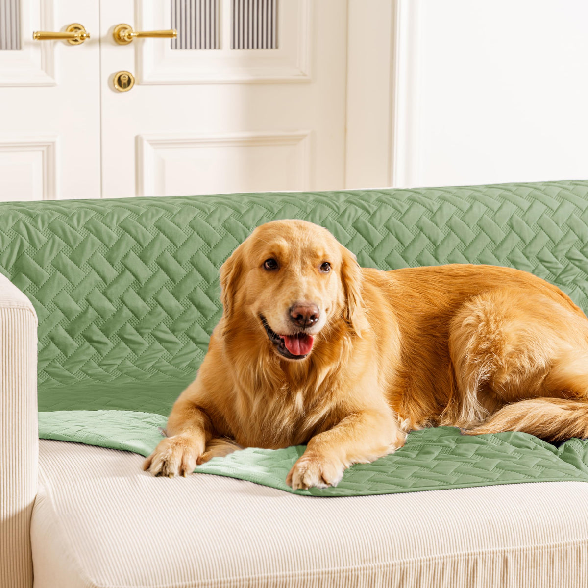 gogobunny 100% Double Sided Waterproof Dog Blanket Soft Pet Bed Cover Reversible Protect Furniture Couch Sofa Car for Puppy Cat Kids (Dark Green/Light Green 40x50 Inch (Pack of 1))