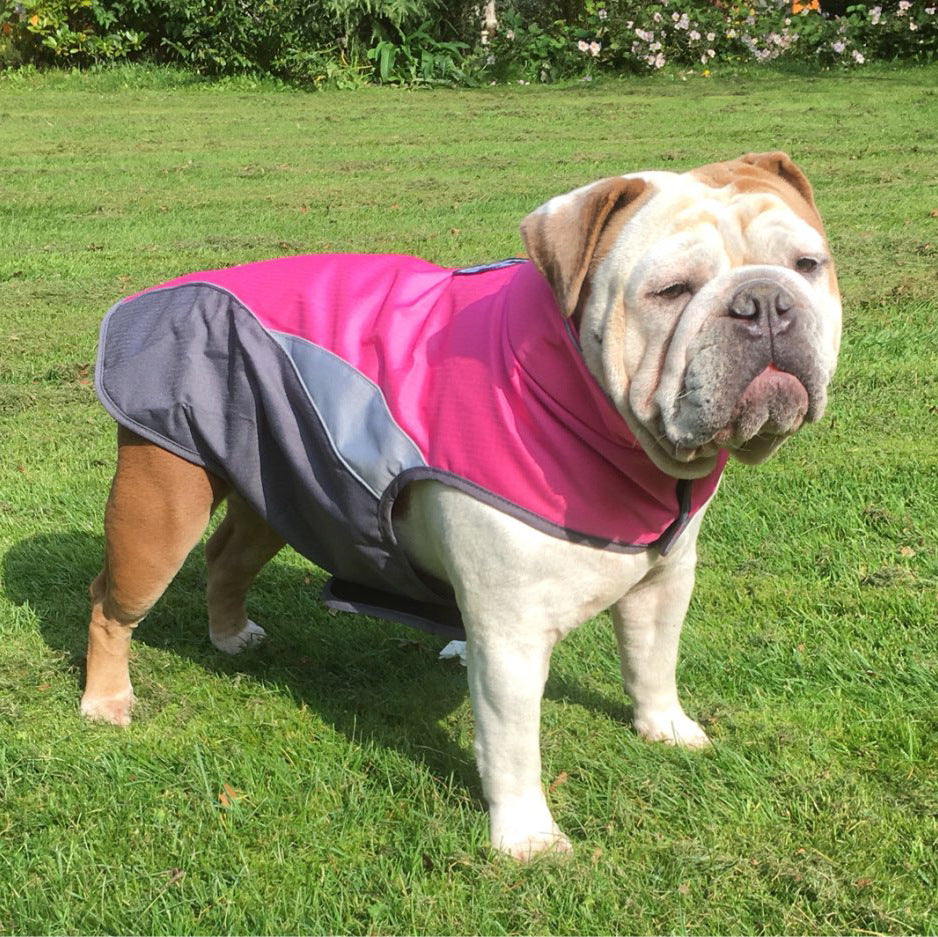 Waterproof Insulated Dog Raincoat