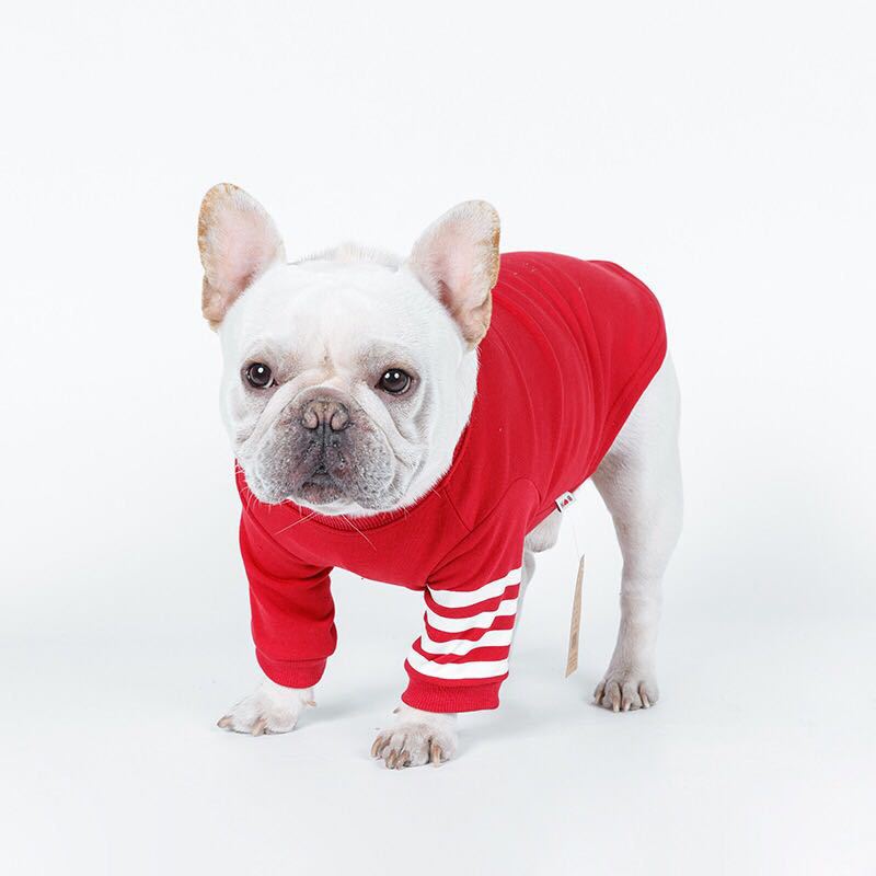 Everyday Pup Hoodie product detail 6