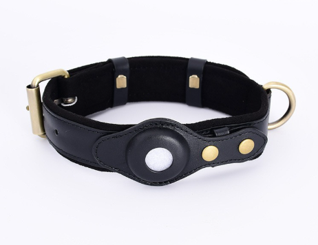 Leather Dog Collar with Location Tracker