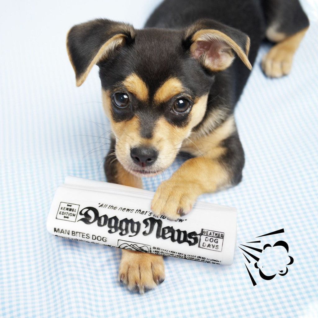 SqueakTrain Dog Chew Toy by NESTVALOR