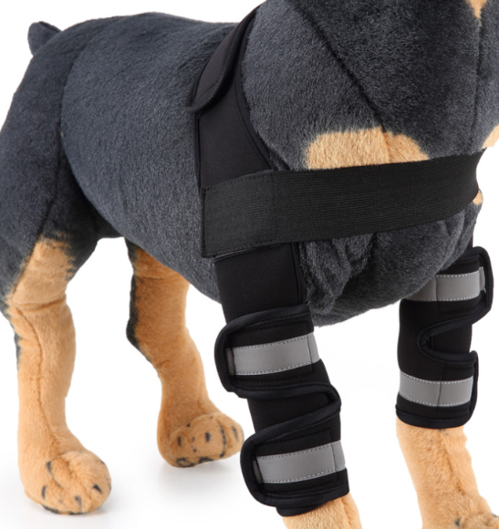 Dog Knee Brace & Leg Support