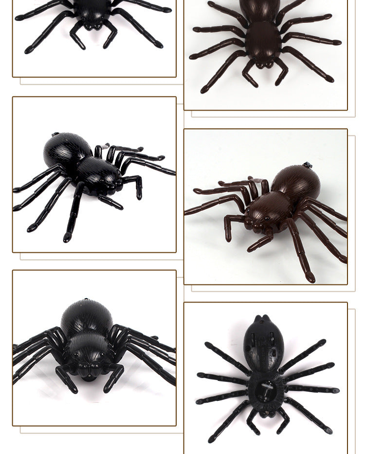 SpiderDash Remote Pet Toy product detail 3